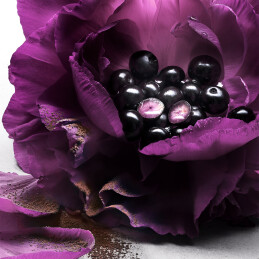 LA NUIT TRESOR LE PARFUM  5