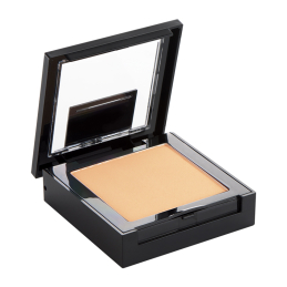 FIT ME MATTE + PORELESS PRESSED POWDER 1