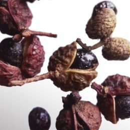  COOLWATER PARFUM MAN 4