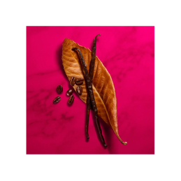 MAGENTA TANZANITE EAU DE PARFUM 4