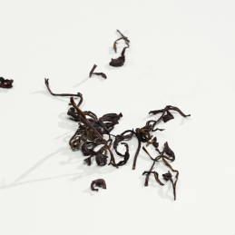 CK EVERYONE EAU DE PARFUM 4