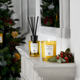 SKINLIFT FOUNDATION 4