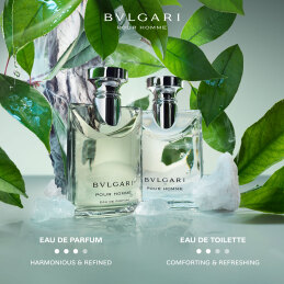 BVLGARI POUR HOMME EAU DE PARFUM 2
