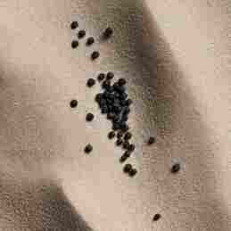 BURBERRY HERO EAU DE TOILETTE MEN 6