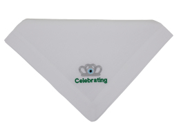ΠΕΤΣΕΤΑ ΚΟΥΖΙΝΑΣ CELEBRATING 1