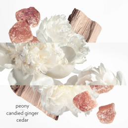 TWILLY D'HERMÈS EAU GINGER EAU DE PARFUM 10