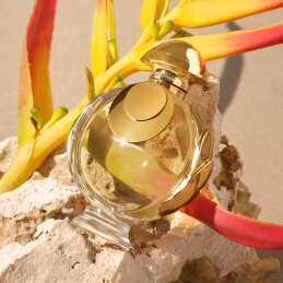 OLYMPÉA ELIXIR EAU DE PARFUM INTENSE 6