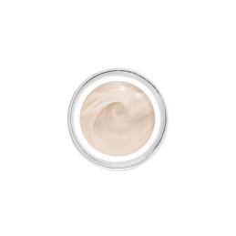 SISLEŸA L'INTÉGRAL ANTI-AGE FRESH GEL CREAM 1