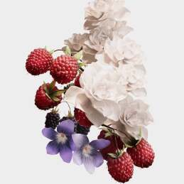 BURBERRY HER EAU DE PARFUM WOMEN 4