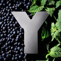 Y EAU DE PARFUM INTENSE 5