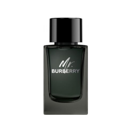 MR. BURBERRY EAU DE PARFUM 2