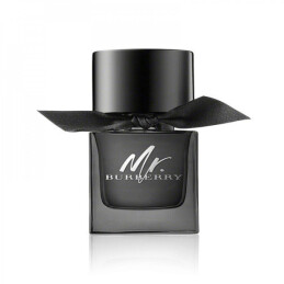 MR. BURBERRY EAU DE PARFUM 0