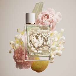 BURBERRY HER EAU DE TOILETTE WOMEN 10
