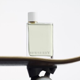 BURBERRY HER EAU DE TOILETTE WOMEN 4