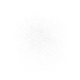 BRUME DE BEAUTÉ 5