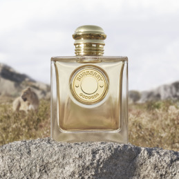 BURBERRY GODDESS EAU DE PARFUM 4