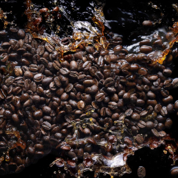 BLACK PHANTOM "MEMENTO MORI" 1