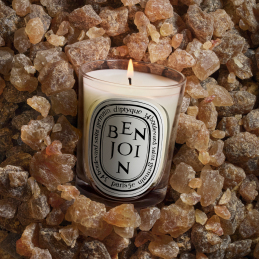 BENJOIN SCENTED CANDLE 1