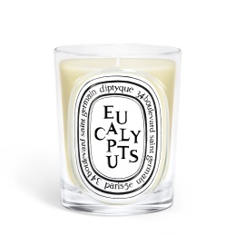 EUCALYPTUS SCENTED CANDLE 0