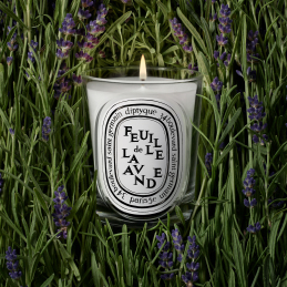 FEUILLE DE LAVANDE SCENTED CANDLE 1