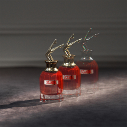 SCANDAL LE PARFUM HER EAU DE PARFUM 12