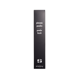 POWDER BRUSH 3