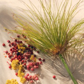 NOMADE JARDIN D’ÉGYPTE EAU DE PARFUM FOR WOMEN | 30ml