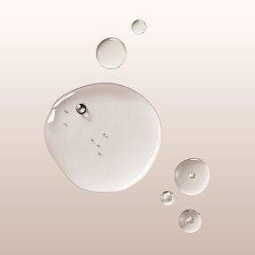 LEAVE-IN ANTI FRIZZ CONDITIONER | 150ml