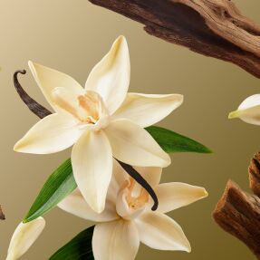 INTUITIA BATH SILK | 100ml