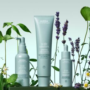 SCALP SOLUTIONS OVERNIGHT RENEWAL SERUM | 50ml