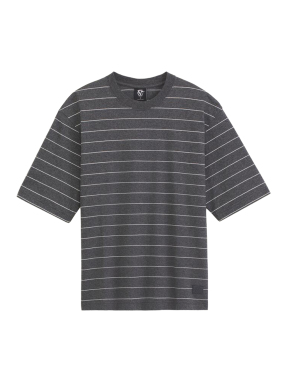 ΑΝΔΡΙΚΟ T-SHIRT VANS X ROWAN Z STRIPE | Γκρι  XL