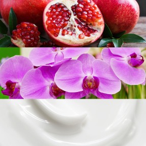 EUPHORIA EAU DE PARFUM | 30ml