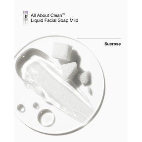 GREAT SKIN EVERYWHERE SET: FOR DRY COMBINATION SKIN