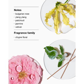 AROMATIC ELIXIR MIXES: PERFUME SET