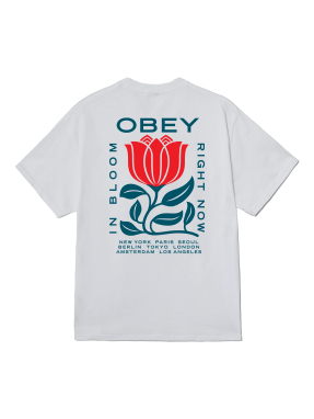 ΑΝΔΡΙΚΟ T-SHIRT IN BLOOM TEE | Λευκό M