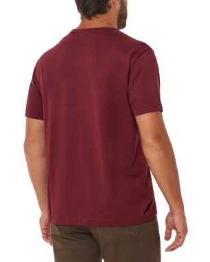 ΑΝΔΡΙΚΟ T-SHIRT | Μπορντό G0676 XXL