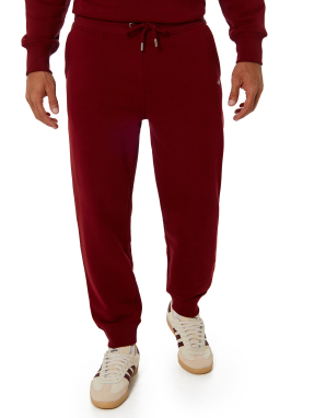 ΑΝΔΡΙΚΟ ΠΑΝΤΕΛΟΝΙ ΦΟΡΜΑΣ | Μπορντό XL