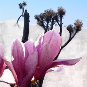 MOJAVE GHOST ROLL ON PERFUMED OIL | 7,5ml