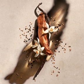 ZADIG SHOWER GEL | 200ml