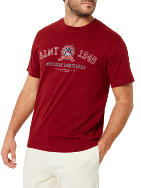 ΑΝΔΡΙΚΟ T-SHIRT | Μπορντό XXL