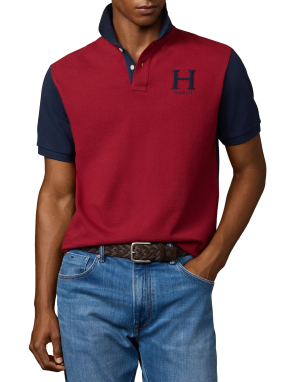 ΑΝΔΡΙΚΗ POLO ΜΠΛΟΥΖΑ | Πολύχρωμο XXL