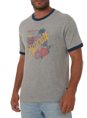 ΑΝΔΡΙΚΟ T-SHIRT | Γκρι  L