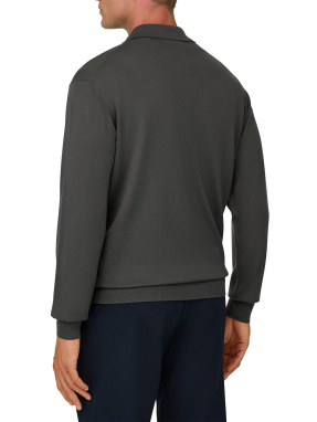 ΑΝΔΡΙΚΗ POLO ΜΑΚΡΥΜΑΝΙΚΗ ΜΠΛΟΥΖΑ | Πράσινο Ανοιχτό XXL