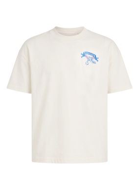 ΑΝΔΡΙΚΟ T-SHIRT CRAY | Λευκό CHALK WHITE XXL