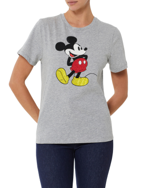 ΓΥΝΑΙΚΕΙΟ T-SHIRT ΜΕ ΤΥΠΩΜΑ | Γκρι S