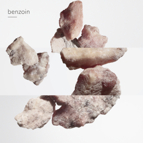 EAU DES MERVEILLES EAU DE TOILETTE REFILL