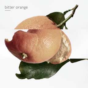 EAU DES MERVEILLES EAU DE TOILETTE REFILL