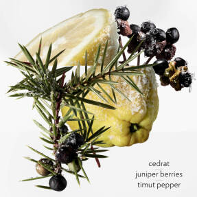 TERRE D'HERMÈS EAU GIVRÉE EAU DE PARFUM | 50ml