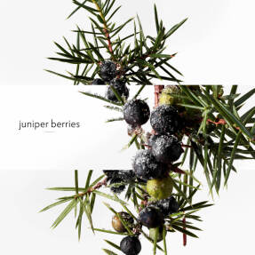 TERRE D'HERMÈS EAU GIVRÉE EAU DE PARFUM | 50ml