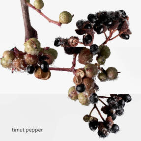 TERRE D'HERMÈS EAU GIVRÉE EAU DE PARFUM | 50ml